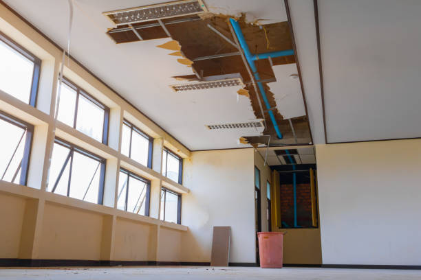 Best Professional water damage repair  in Emma, NC