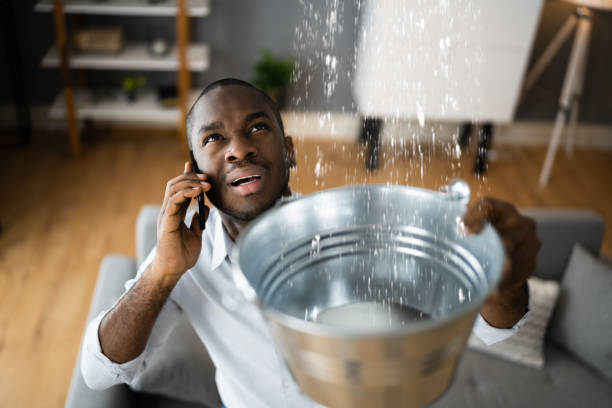 Best Sewage cleanup and water damage restoration  in Emma, NC