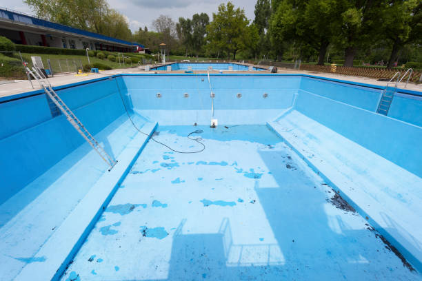 Best Basement water damage restoration  in Emma, NC
