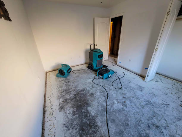 Best Fire Damage Restoration  in Emma, NC