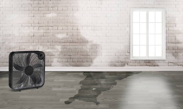 Best Emergency water damage restoration  in Emma, NC