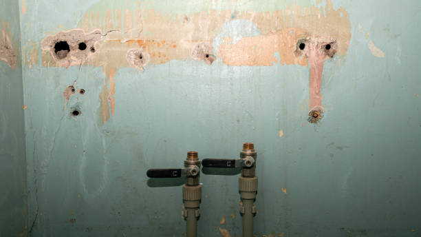 Best Commercial water damage restoration  in Emma, NC