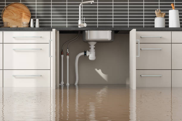 Best Local water damage restoration  in Emma, NC