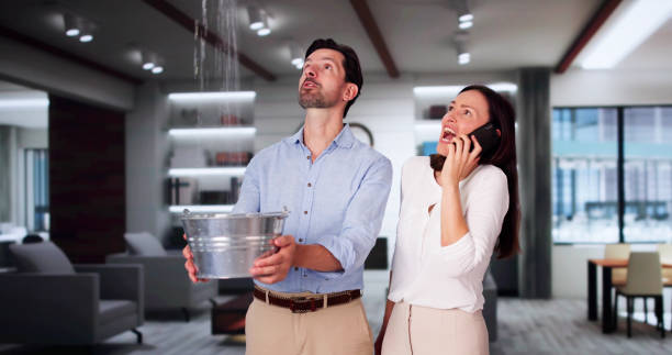 Best Flood damage cleanup  in Emma, NC